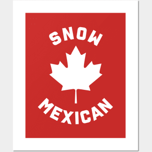 Snow Mexican Posters and Art